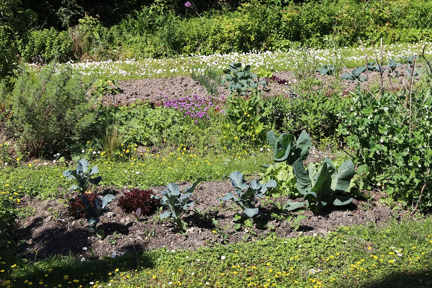 les jardins du mercantour